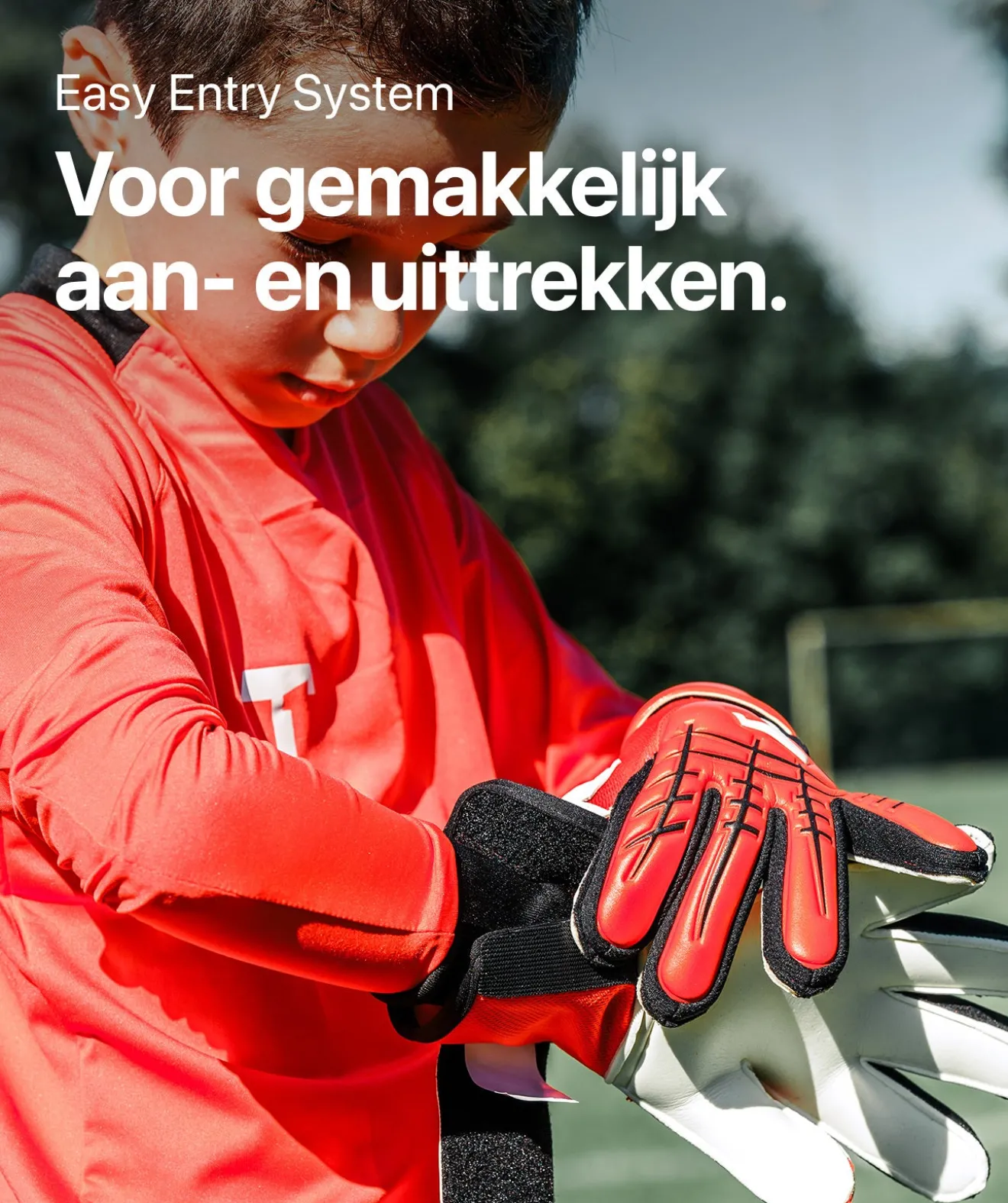 Red Beast Junior 3.0 (FP)